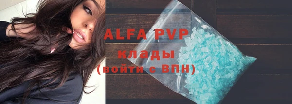 стафф Михайлов
