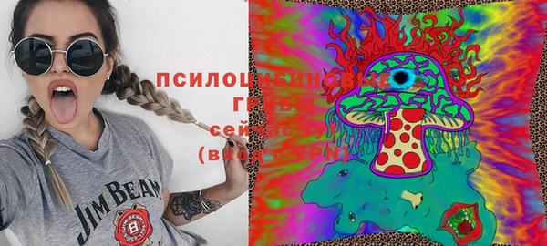 дурь Михайловск