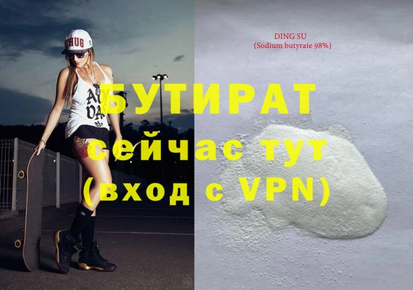 индика Медвежьегорск