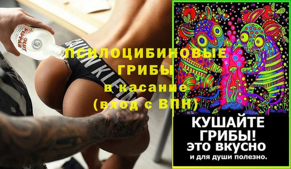 дурь Михайловск