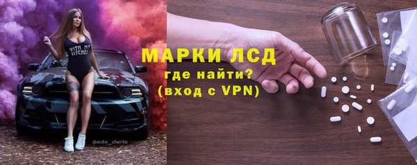 индика Медвежьегорск