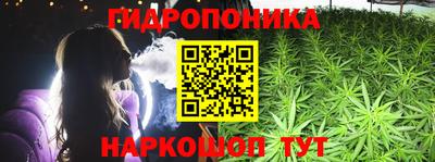соль ск Гагарин