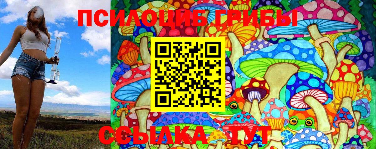 Галлюциногенные грибы Cubensis  Псилоцибиновые грибы Psilocybine cubensis  Кизляр  Вход с VPN 