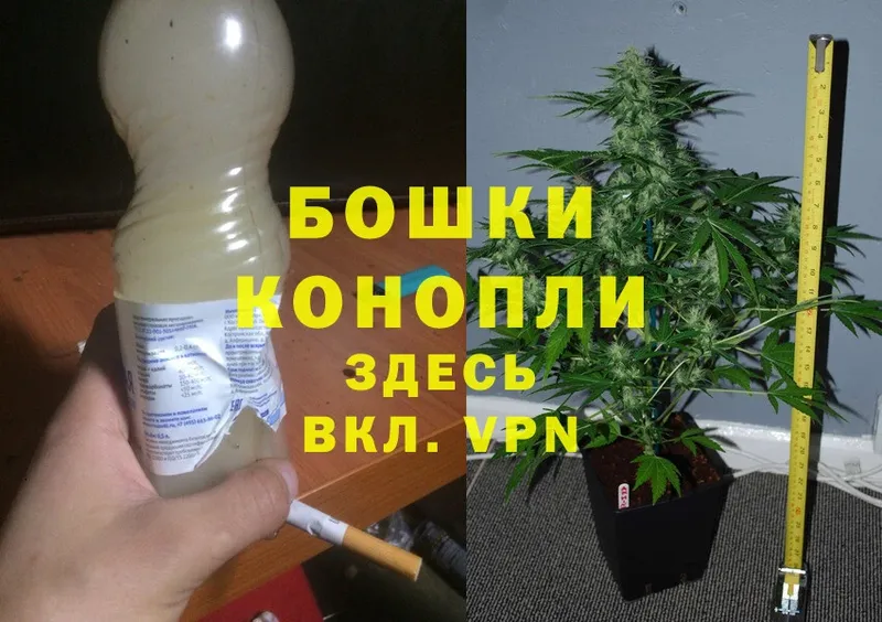 наркотики  Кизляр  Канабис SATIVA & INDICA 